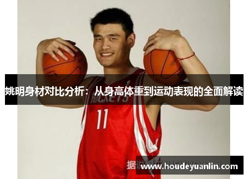 姚明身材对比分析：从身高体重到运动表现的全面解读