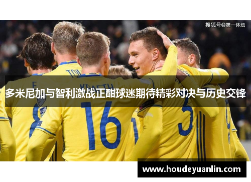 多米尼加与智利激战正酣球迷期待精彩对决与历史交锋