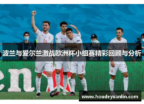 波兰与爱尔兰激战欧洲杯小组赛精彩回顾与分析
